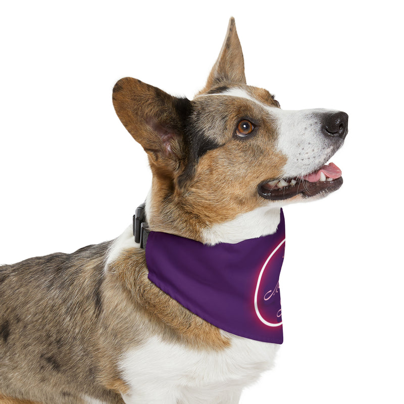 Load image into Gallery viewer, Pet Bandana Collar
