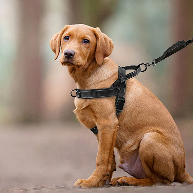 Load image into Gallery viewer, Superidag Free Walk™ Dog Harness | Personal Dog Harness
