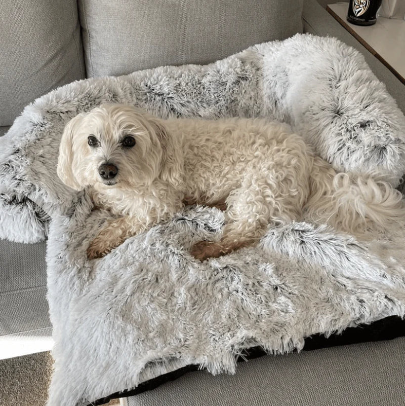 Load image into Gallery viewer, Superidag Soothing Dog Bed &amp; Sofa Cover
