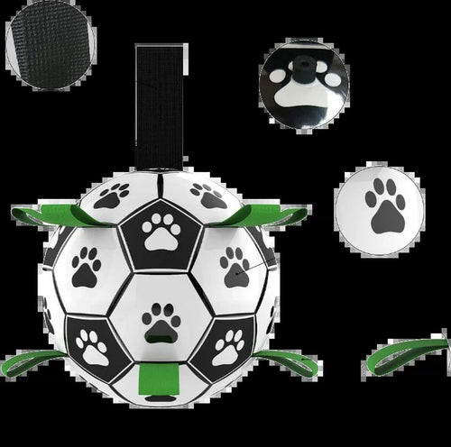 Superidag Playfetch Interactive Pet Football Toy