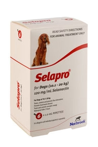 Selapro® Spot on Medium Dog 6Pk