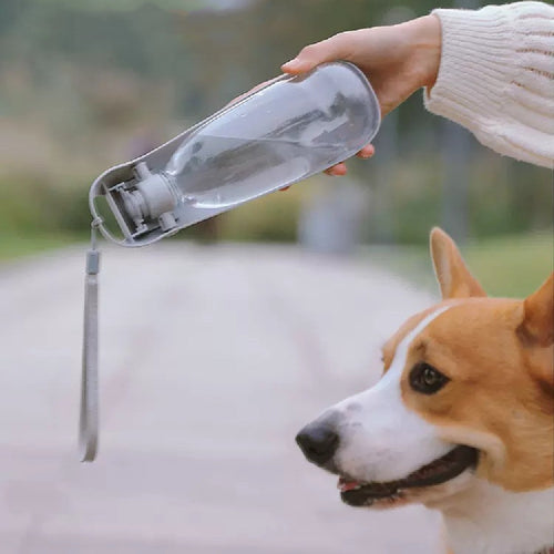Stylish Pet Accompanying Water Bottle